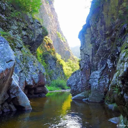Maison Familiale Pres Du Parc Regional Du Pilat - Fr-1-582-49 * Saint-Just-Malmont